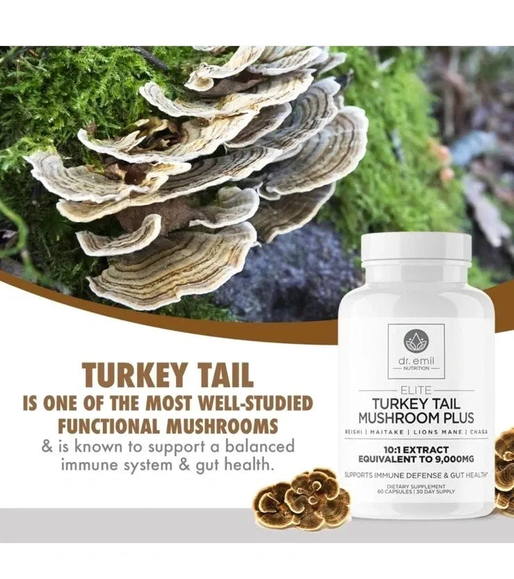Dr. Emil Nutrition Turkey Tail Mushroom Plus Lions Mane, Chaga, Reishi, Maitake