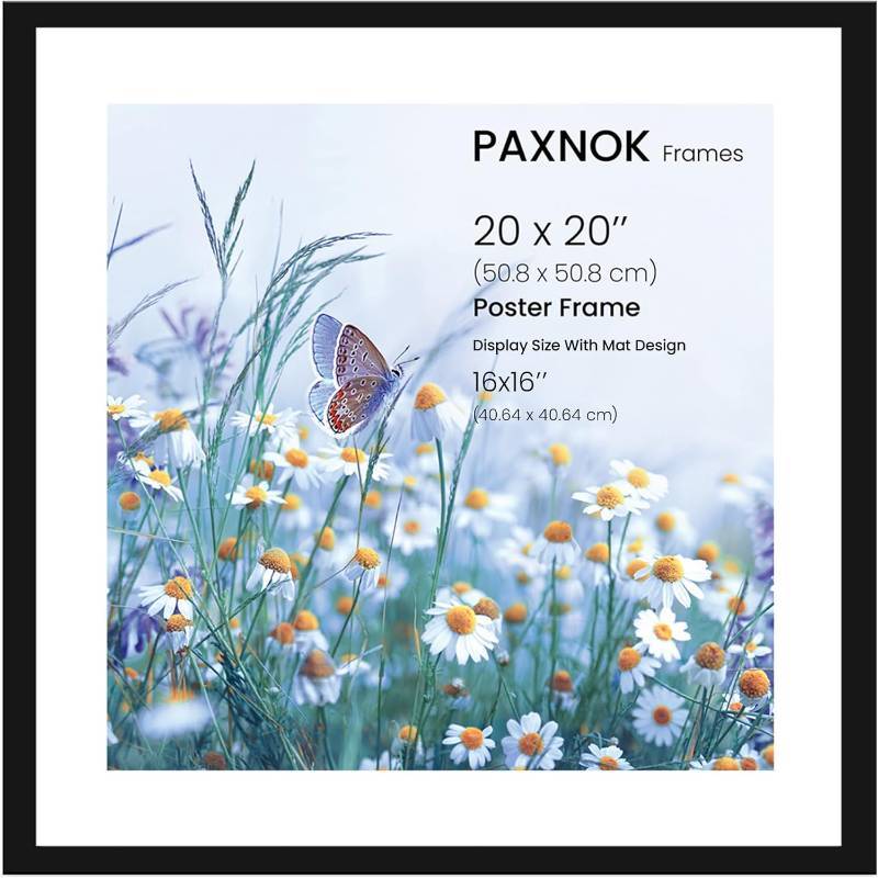 20" x 20" Frame, 16" x 16" Picture With Mat, Premium Plexiglass, Slim & Stylish Black for Home Decor, Modern Single
