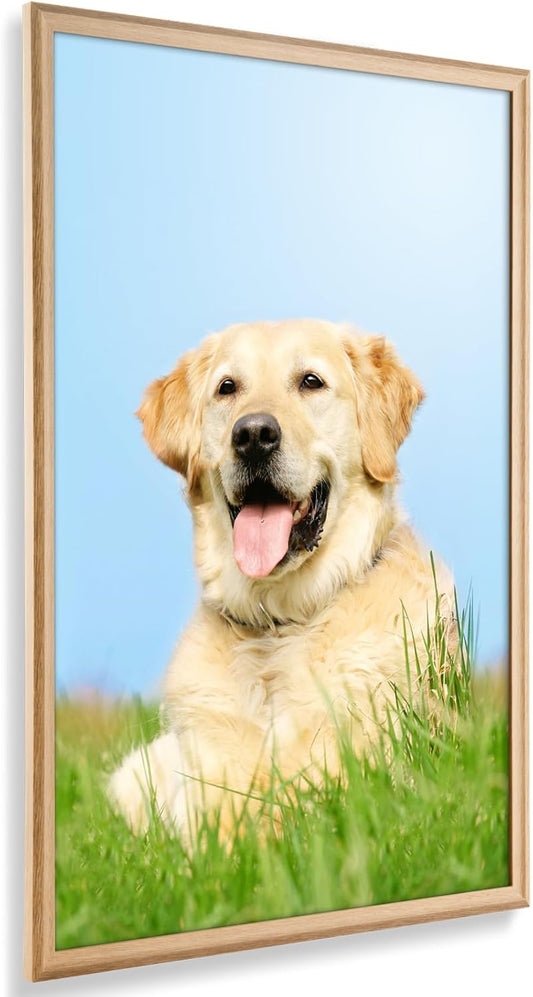 20x30 Poster Frame - Natural Wood Grain Finish with Shatterproof Plexiglass - Classic Wall Display for Photos, Art, and Puzzles - Horizontal or Vertical Hanging
