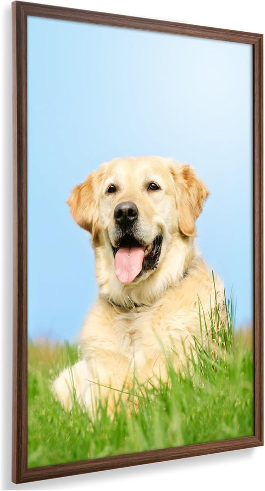 20x30 Poster Frame - Walnut Wood Grain Finish with Shatterproof Plexiglass - Classic Wall Display for Photos, Art, and Puzzles - Horizontal or Vertical Hanging