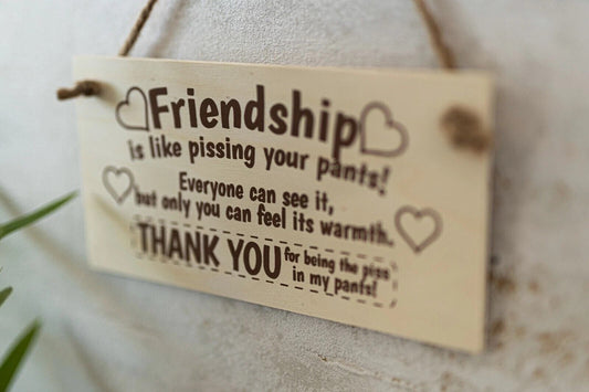 Wooden Sign with Friendship Quote, "Friendship is Like Pissing Your Pants! Everyone Can See IT, But Only You Can Feel It's Warmth. Thank You for Being the Piss in My Pants! (5"W x 10"L)