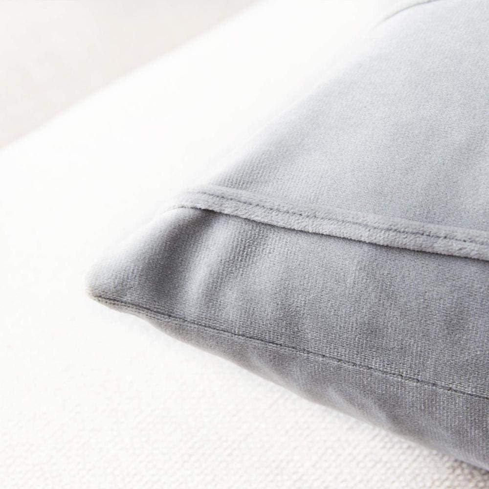 Pack of 2 Striped Velvet Throw Pillow Covers Modern Decorative Couch Throws Square Soft Cozy Pillowcases for Winter Bed Sofa Cushion Living Room (Gray, 22" x 22")