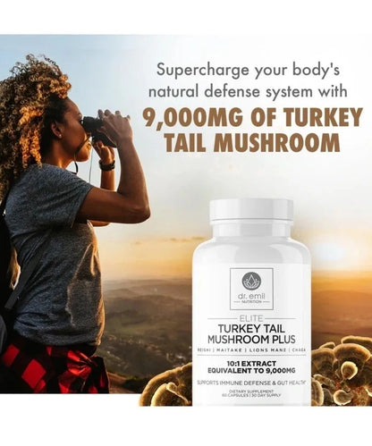 Dr. Emil Nutrition Turkey Tail Mushroom Plus Lions Mane, Chaga, Reishi, Maitake