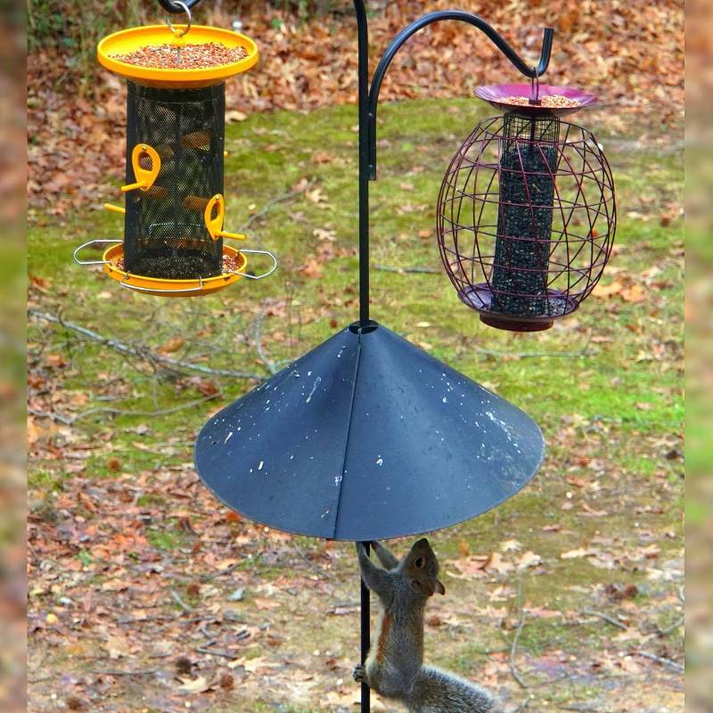 Hotop 3 Pieces Wrap Around Squirrel Baffle 16 Inch Bird Feeder Animal Proof Baffle Guard Around for Protect Hanging Bird Feeder