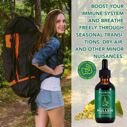 Mullein Drops for Lungs 2 Fl Oz - Mullein Leaf Extract for Lungs with Chlorophyll - Natural Herbal Supplement for Lung Cleanse, Respiratory Support, Boosts Immunity, Digestive Wellness
